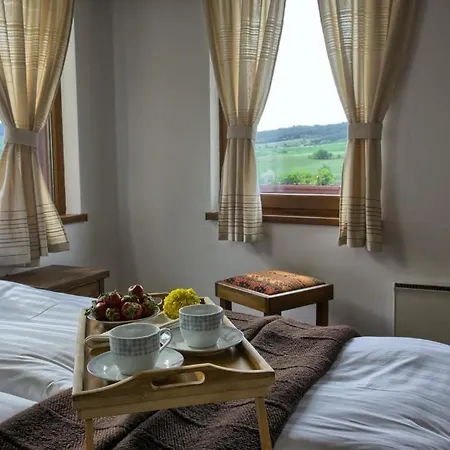 Holiday park Eco Village Ruminika 2*